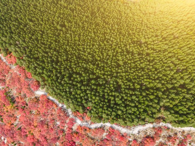 Fotografia aerea di paesaggi naturali nel parco jinan nanshan