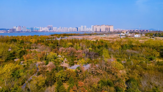 Aerial photography of urban park green space