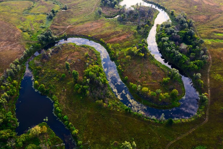 Aerial Serenity Surveying the Meandering Rivers Peaceful Journey