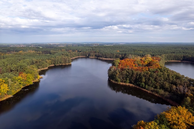 Aerial shot of beautiful lake surrounded by forest in a calm autumn day germany