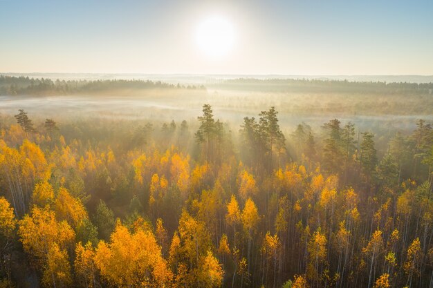 Aerial shot of foggy autumn morning at swamp Astravy Duleby, Belarus