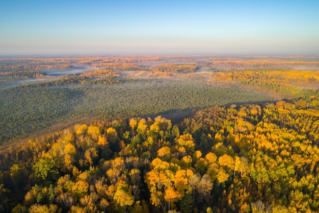 Aerial shot of foggy autumn morning at swamp Astravy Duleby, Belarus