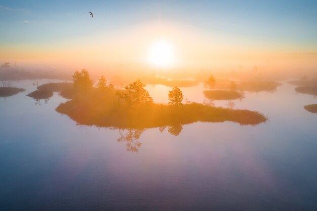 Aerial shot of foggy morning at Yelnya swamp, Belarus