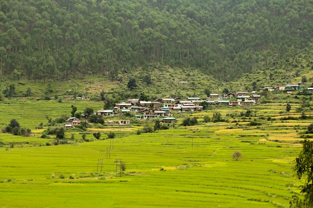 Aerial shot of Rural Villages of Uttarakhand India with framing fields