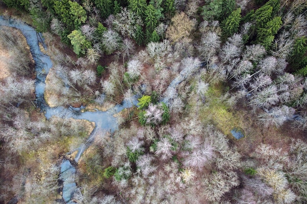 Aerial shot of small river and forest