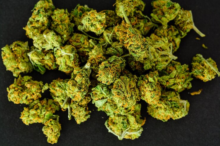 黒の背景にいくつかのマリファナの芽の空中ショット女性の大麻植物の花