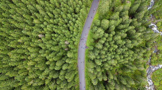 Aerial shot of some road serpentines