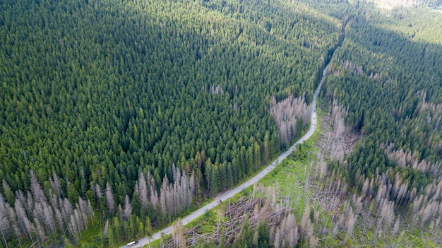 Aerial shot of some road serpentines