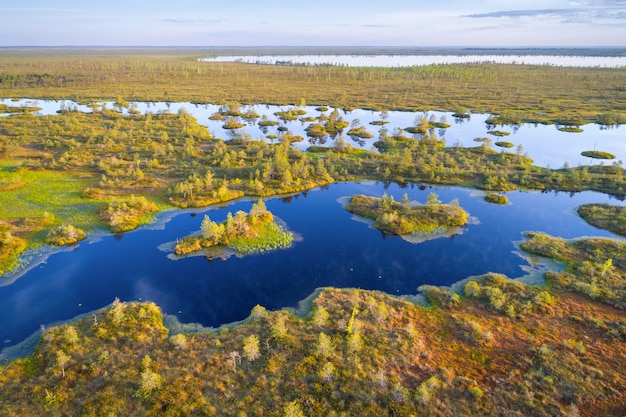 Aerial shot of Yelnya swamp, Belarus