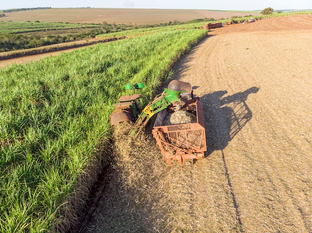 Aerial sugarcane field in Brazil. Tractor working, agribusiness .