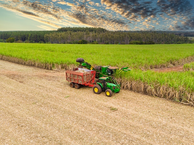 Aerial sugarcane field in Brazil and tractor working