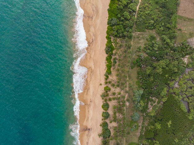 Aerial tangalle beach sri lanka view from above