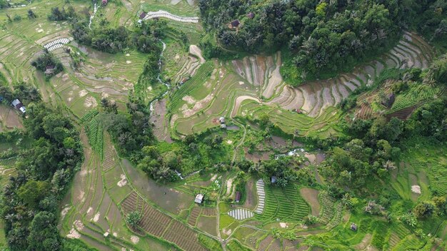 Photo aerial terrace fields