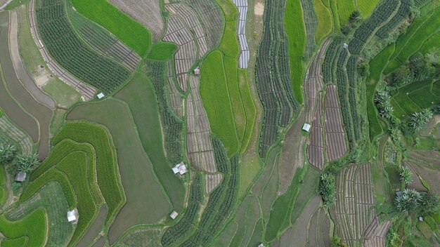 Photo aerial terrace fields