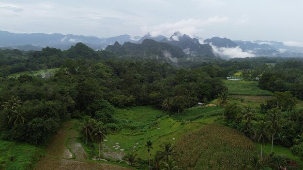 Photo aerial terrace fields