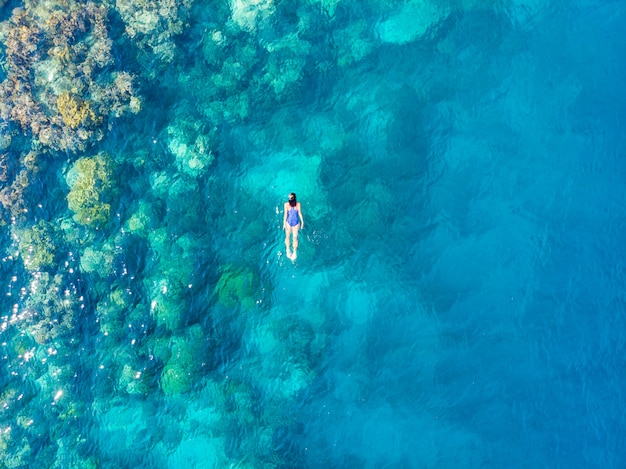 Aerial top down people snorkeling on coral reef tropical caribbean sea