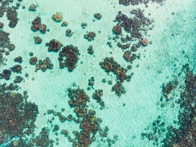 Foto parte superiore aerea giù la gente che si immerge sul mare caraibico tropicale della barriera corallina