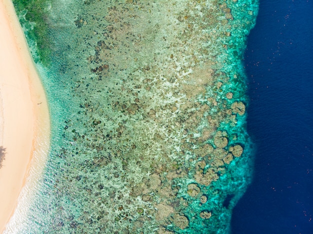 Aerial top down view coral reef tropical caribbean sea, turquoise blue water. Indonesia Moluccas archipelago, Banda Islands, Pulau Hatta. Top travel tourist destination, best diving snorkeling.