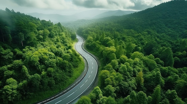 Aerial top view of a beautiful curved road on green forest in the rainy season