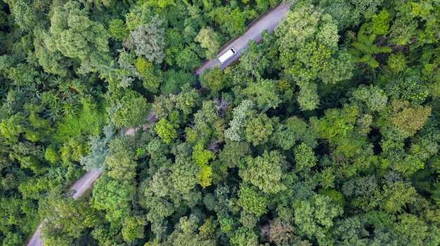 国の道路で森林を通って運転する空中のトップビュー車、ドローンからの眺め