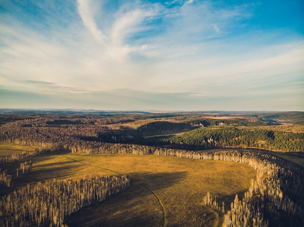 Aerial top view of country road through fields and forests in summer. Clip. Top view of the forest area with road.