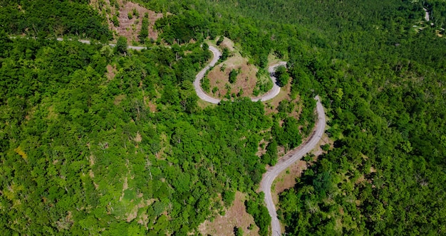 Aerial top view of curves roadway pass through fresh green\
forest on mountain, road path uphill in urban