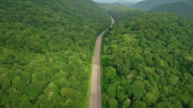 Aerial top view forest tree with car ecosystem environment concept Countryside road passing through the green forrest and mountain