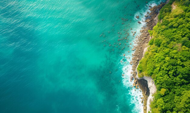 Aerial top view geweldig strand met perfecte natuur groen bos rustig en rots rond het eiland