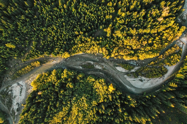 Aerial top view of green autumn trees in forest in Slovakia Drone photography Rainforest ecosystem and healthy environment concept Mountain river xDxA