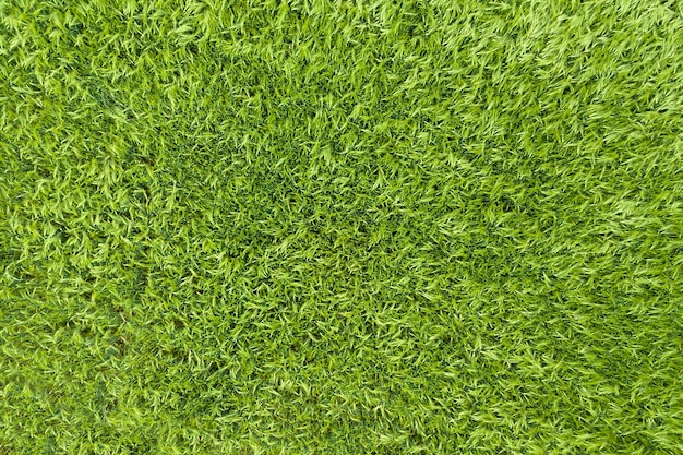 Aerial top view of green field