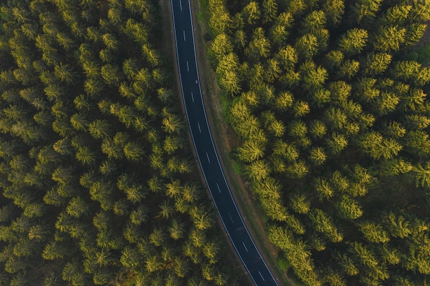 Aerial top view over mountain road going through forest.