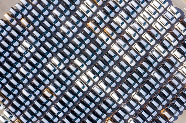 Aerial top view new cars lined up in the port 