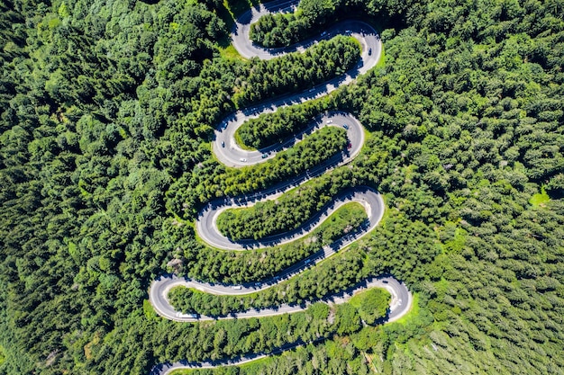 Фото Взгляд с воздуха на извилистую дорогу в зеленом лесу