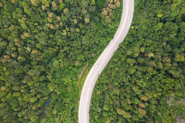 Воздушный вид сверху тропа дороги в лесу, вид с дрона