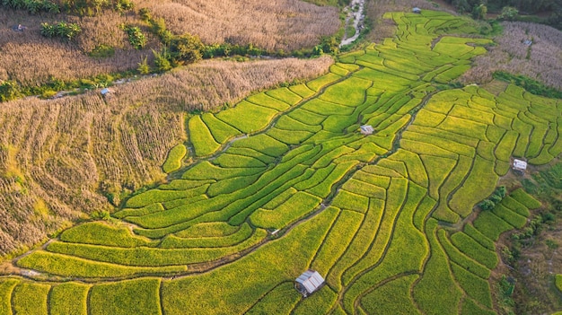 チェンマイの田園地帯を飛んで飛行機から飛行機からの航空写真
