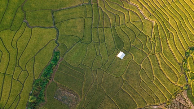 Aerial top view photo from flying drone of the countryside of Chiang Mai