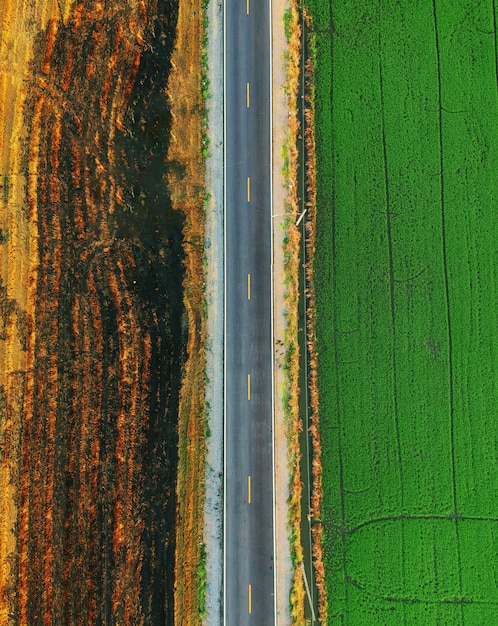 Aerial top view of road between green field