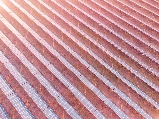 Aerial top view of a solar panels power plant photovoltaic solar panels at sunrise and sunset in