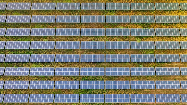 Aerial top view of Solar panels