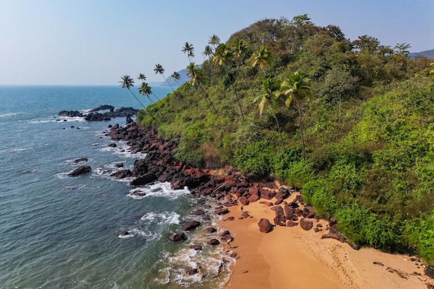 Aerial top view on tropical beach with green palm trees under sunlight Drone view in Goa