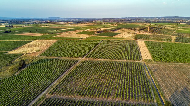 上記の背景、南フランスからのブドウ畑の風景の空中のトップビュー