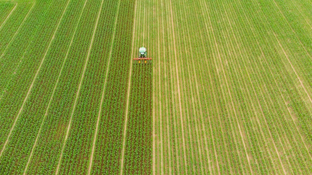 Foto antenna: trattore che lavora su campi coltivati, terreni agricoli, occupazione agricola, vista dall'alto verso il basso di lussureggianti colture di cereali verdi, sprintime in italia
