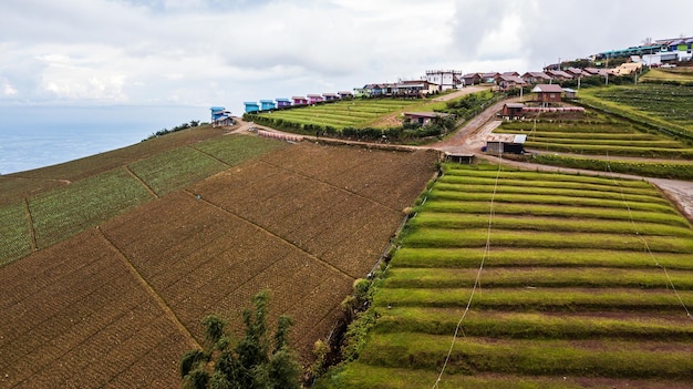 An aerial view of Agricultural area