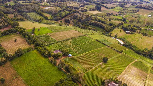 An aerial view of Agricultural area