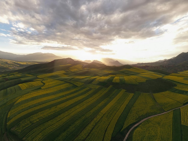 aerial view of agricultural field against sky