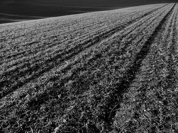 Photo aerial view of agricultural field