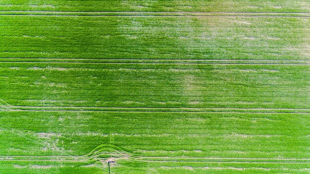 Foto vista aerea di un campo agricolo