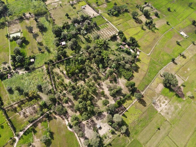 Photo aerial view of agricultural field