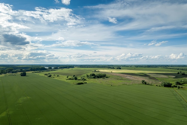Аэрофотоснимок сельскохозяйственных полей. Сельская местность, сельскохозяйственный пейзаж Вид с воздуха.