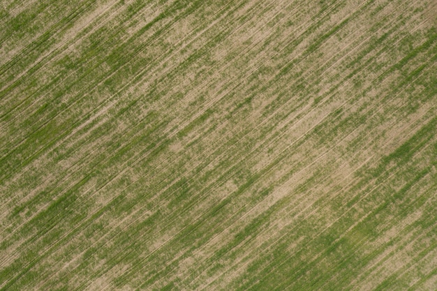 Photo aerial view of agricultural fields with green crops planted.